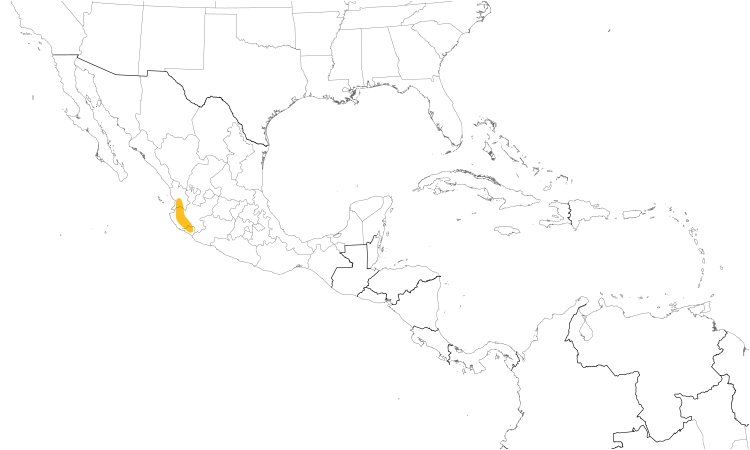 Range Map (Central): Mexican Woodnymph
