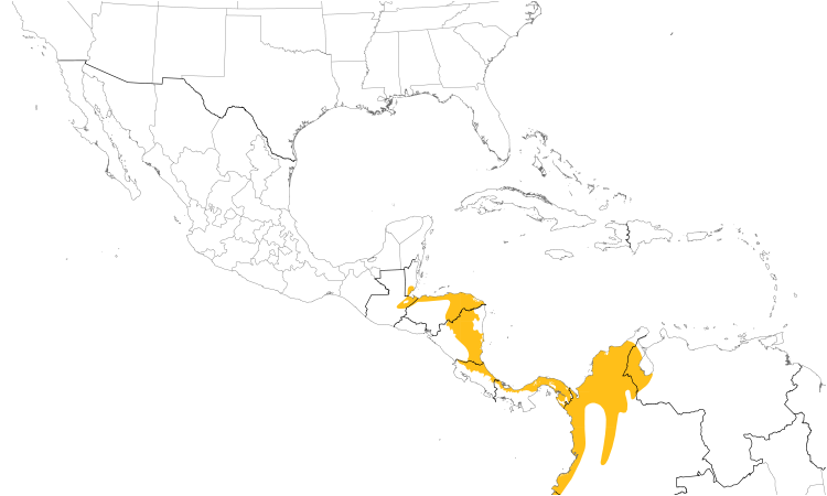 Range Map (Central): Black-crowned Antshrike