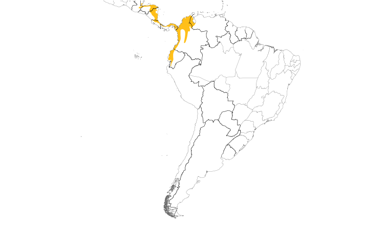 Range Map (South): Black-crowned Antshrike