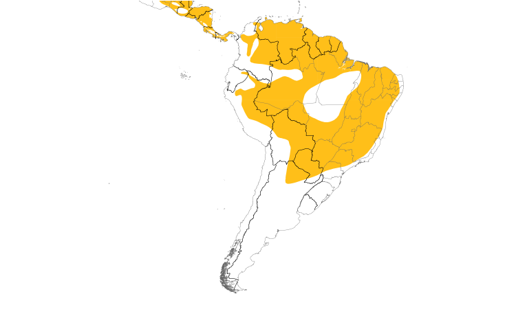 Range Map (South): Barred Antshrike