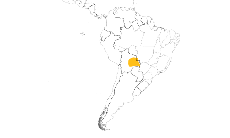 Range Map (South): Bolivian Slaty-Antshrike