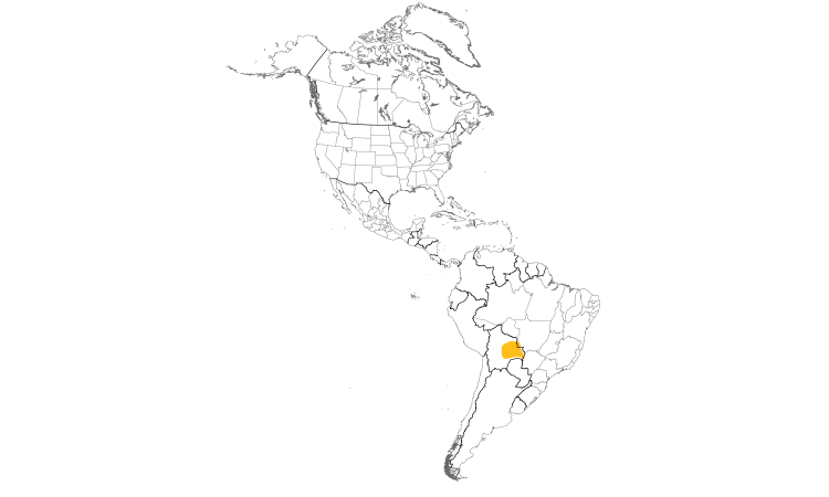 Range Map (Americas): Bolivian Slaty-Antshrike