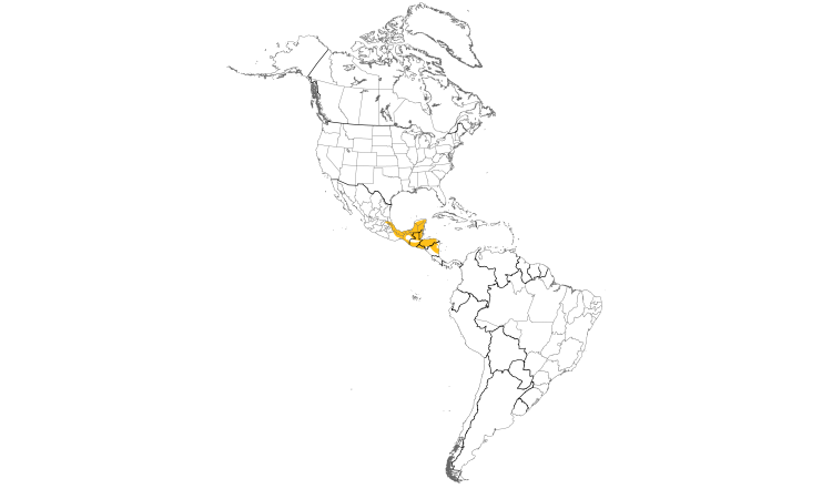Range Map (Americas): Yellow-winged Tanager
