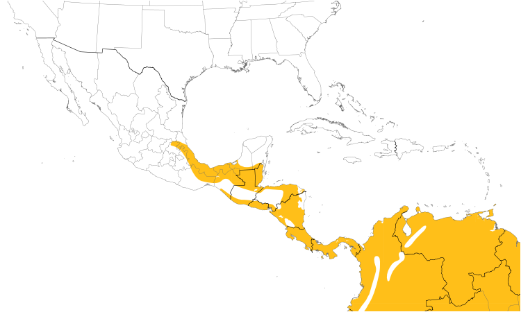 Range Map (Central): Blue-gray Tanager