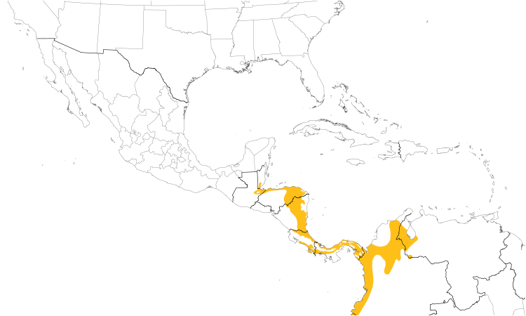 Range Map (Central): Band-tailed Barbthroat