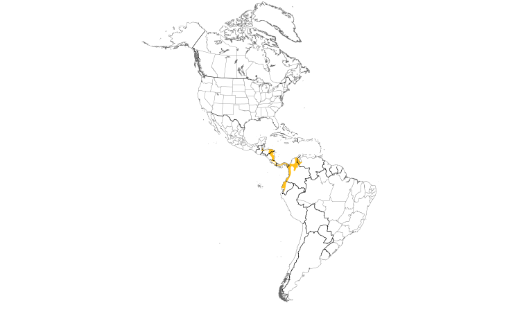 Range Map (Americas): Band-tailed Barbthroat