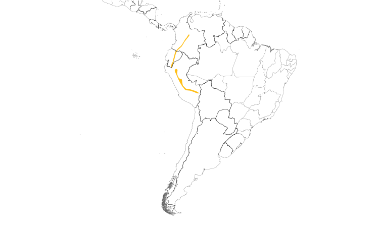 Range Map (South): Black-billed Treehunter