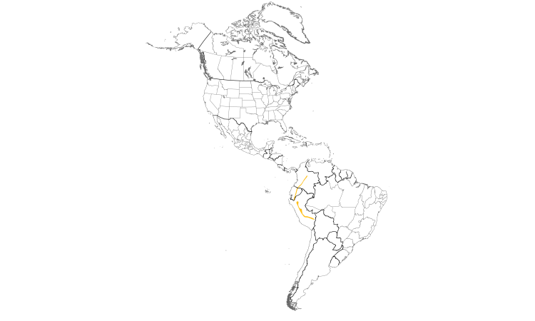 Range Map (Americas): Black-billed Treehunter