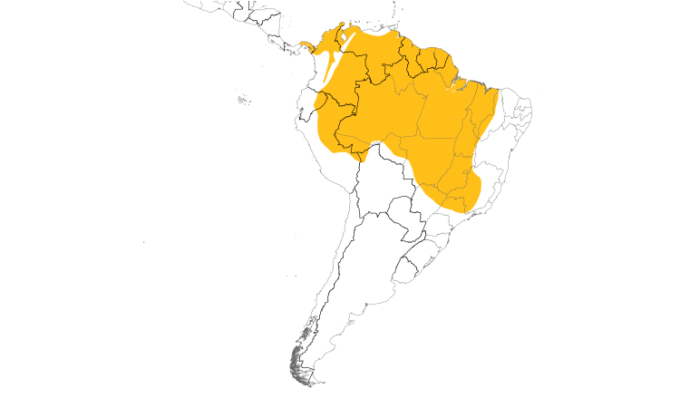 Range Map (South): Buff-breasted Wren