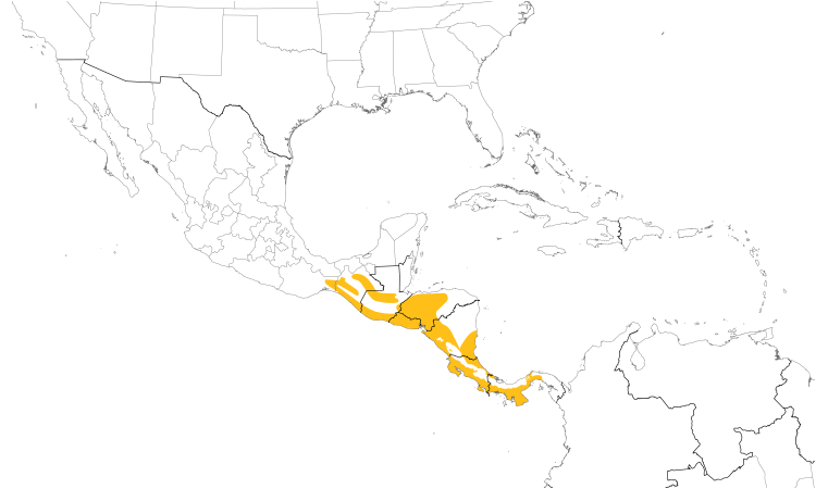 Range Map (Central): Plain Wren