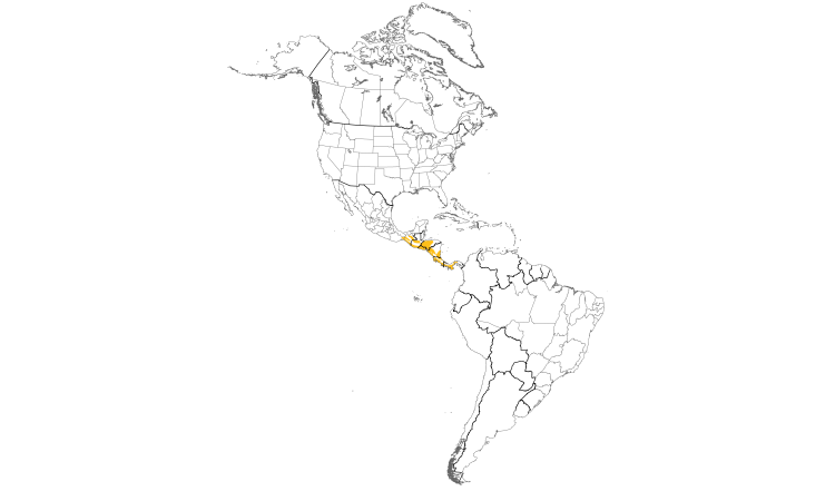 Range Map (Americas): Plain Wren