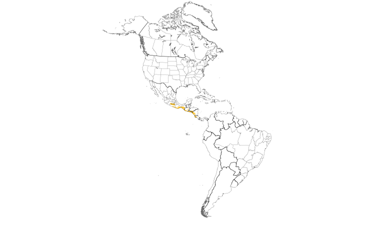 Range Map (Americas): Banded Wren