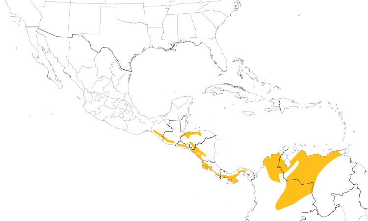 Range Map (Central): Rufous-and-white Wren