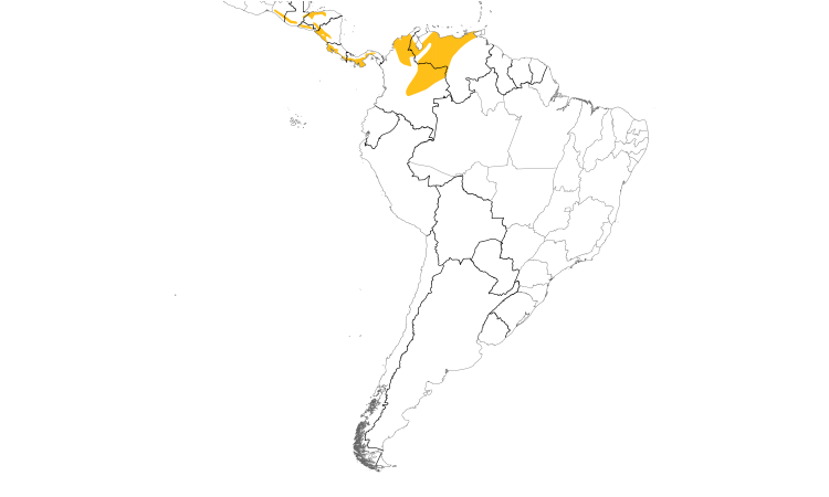 Range Map (South): Rufous-and-white Wren