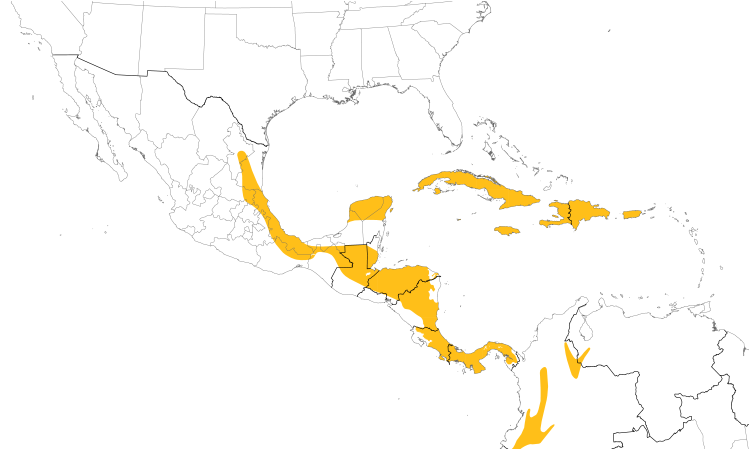 Range Map (Central): Yellow-faced Grassquit