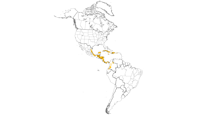 Range Map (Americas): Yellow-faced Grassquit