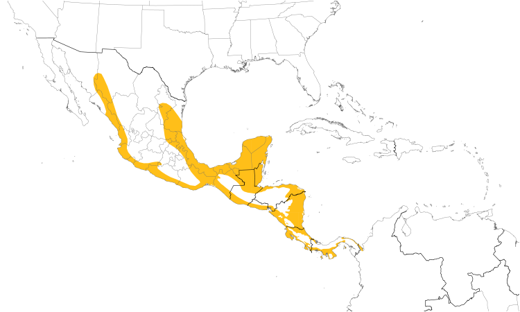 Range Map (Central): Bare-throated Tiger-Heron