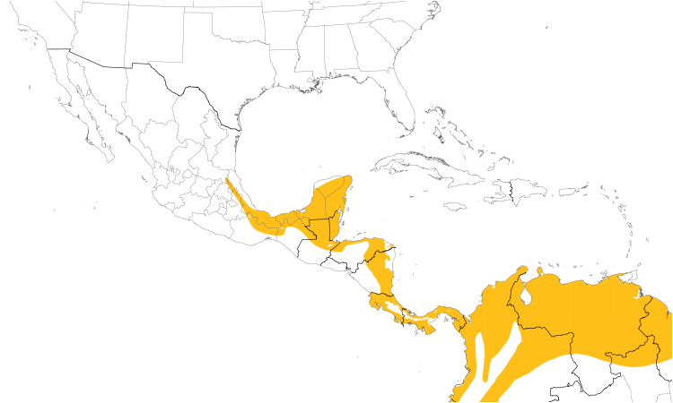 Range Map (Central): Black-crowned Tityra