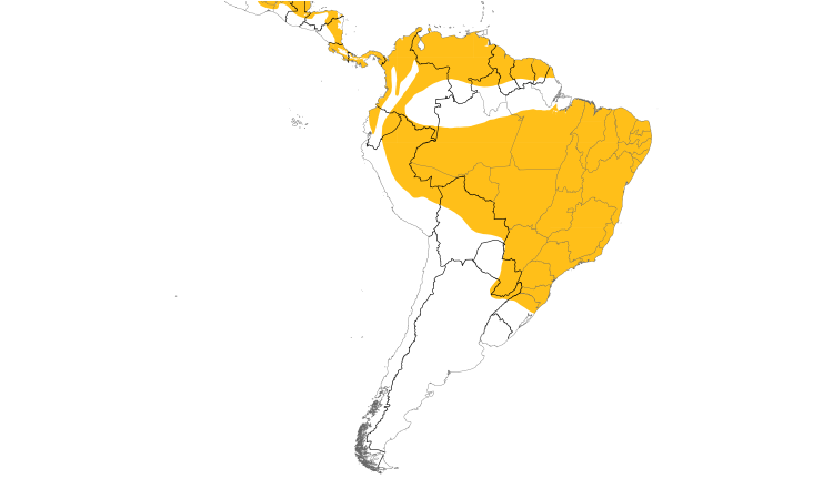 Range Map (South): Black-crowned Tityra