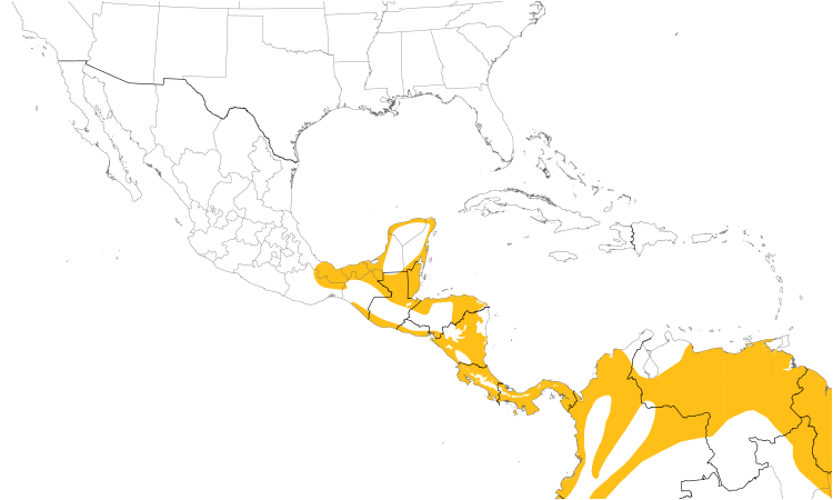 Range Map (Central): Common Tody-Flycatcher