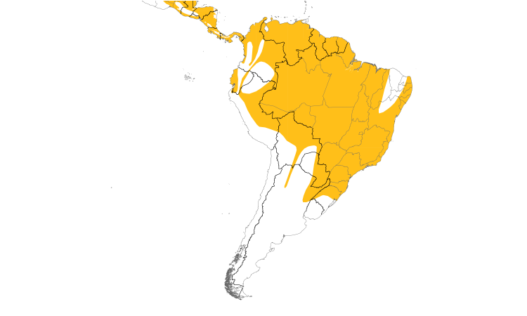 Range Map (South): Yellow-olive Flycatcher