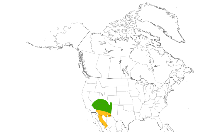 Range Map (North): Bendire's Thrasher