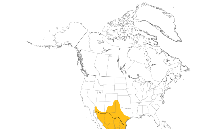 Range Map (North): Curve-billed Thrasher