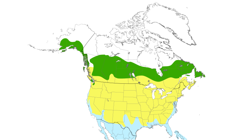 Range Map (North): Greater Yellowlegs