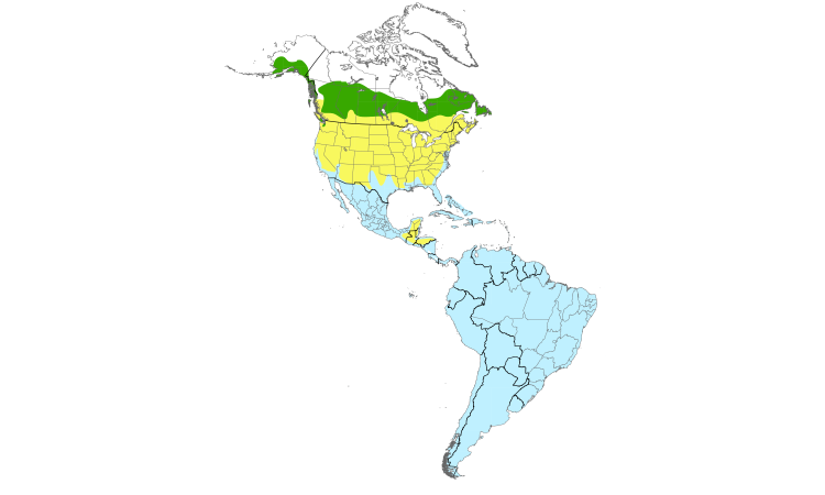 Range Map (Americas): Greater Yellowlegs