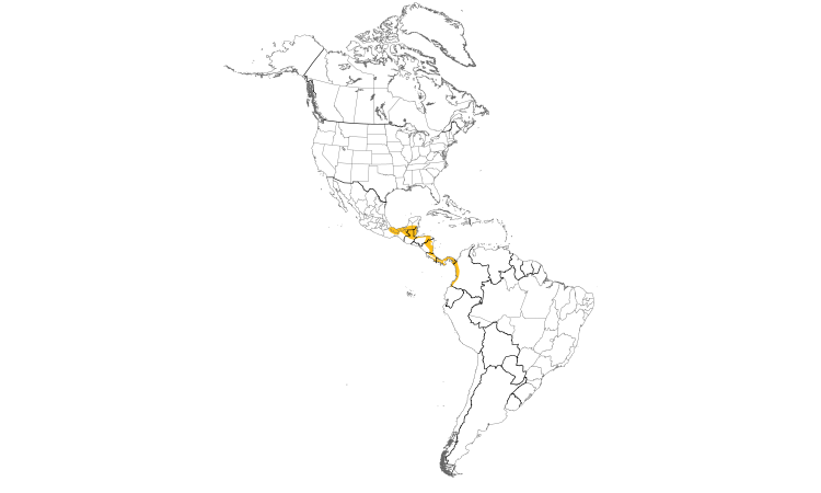 Range Map (Americas): Slaty-tailed Trogon