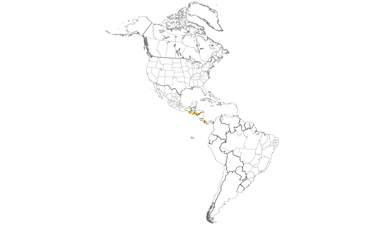 Range Map (Americas): Mountain Thrush