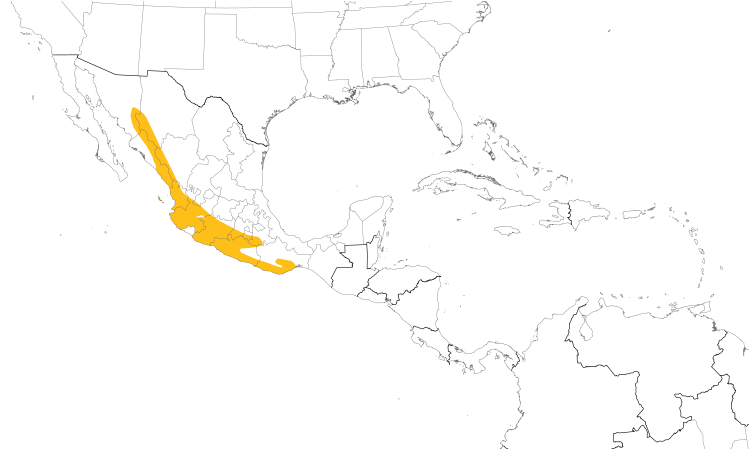 Range Map (Central): Rufous-backed Robin