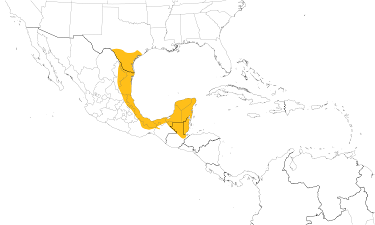 Range Map (Central): Couch's Kingbird