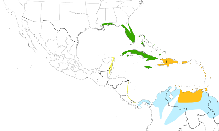 Range Map (Central): Gray Kingbird