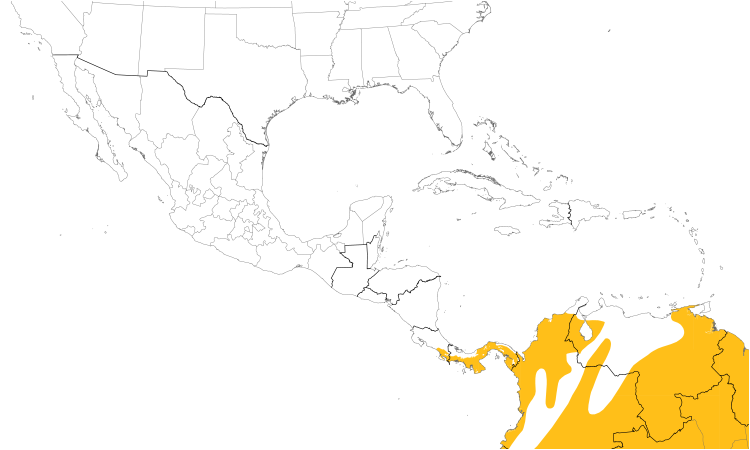 Range Map (Central): Yellow-crowned Tyrannulet