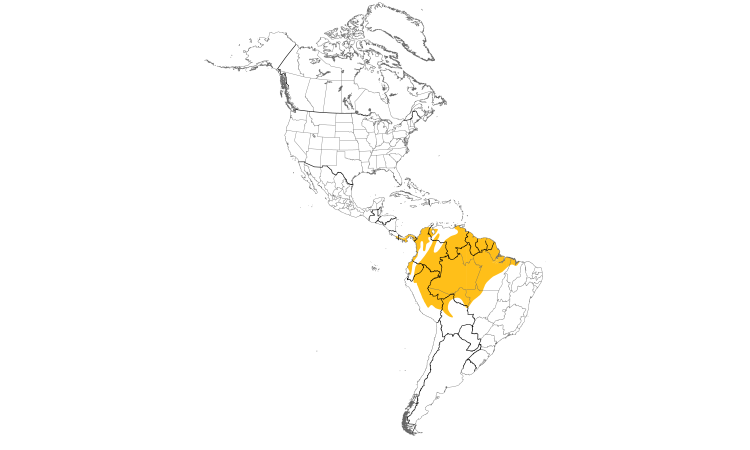 Range Map (Americas): Yellow-crowned Tyrannulet