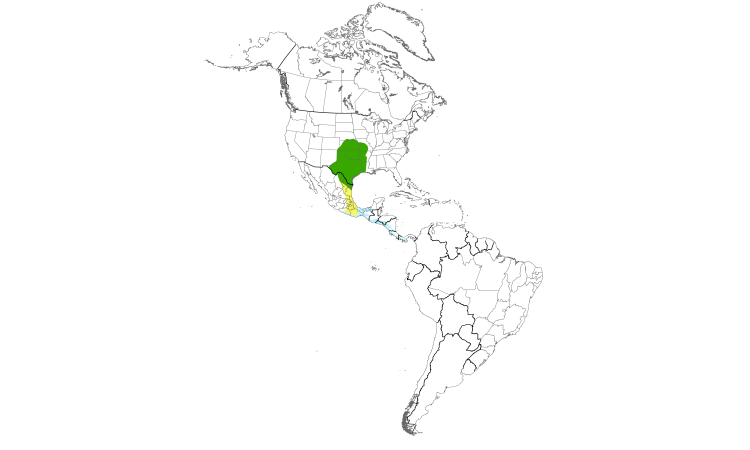Range Map (Americas): Scissor-tailed Flycatcher