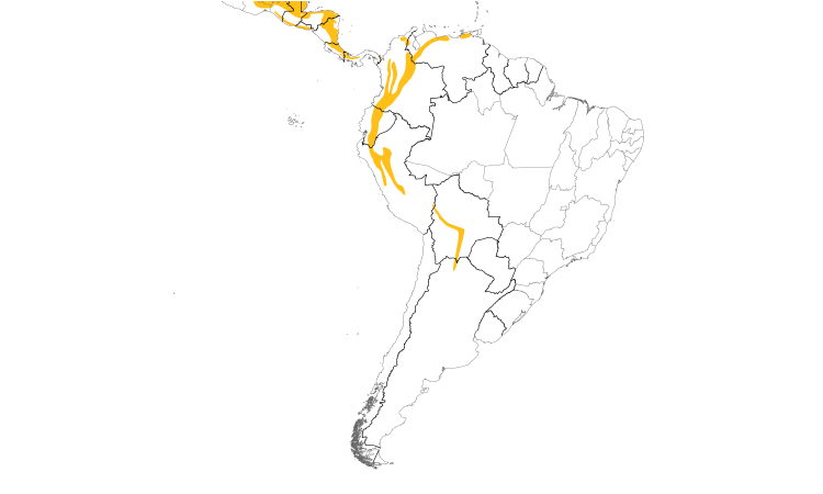 Range Map (South): Smoky-brown Woodpecker