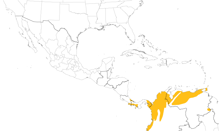Range Map (Central): Red-rumped Woodpecker