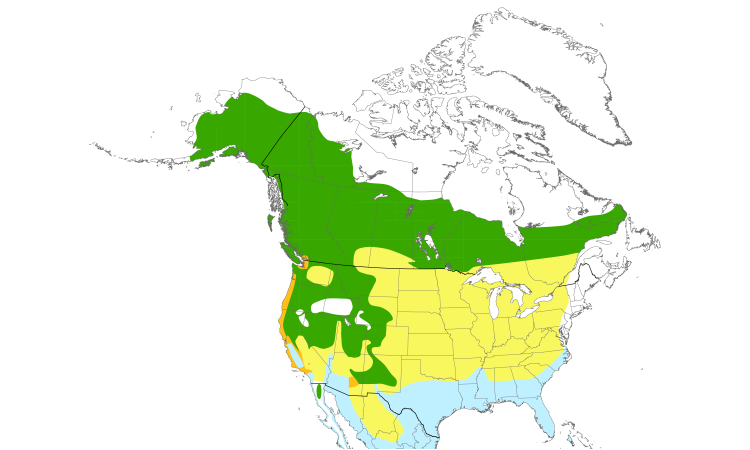 Range Map (North): Orange-crowned Warbler