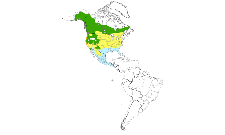 Range Map (Americas): Orange-crowned Warbler