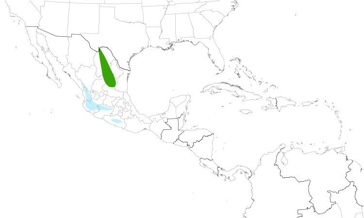 Range Map (Central): Colima Warbler