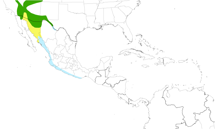 Range Map (Central): Lucy's Warbler