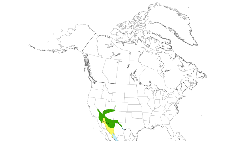 Range Map (North): Lucy's Warbler