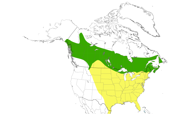 Range Map (North): Tennessee Warbler