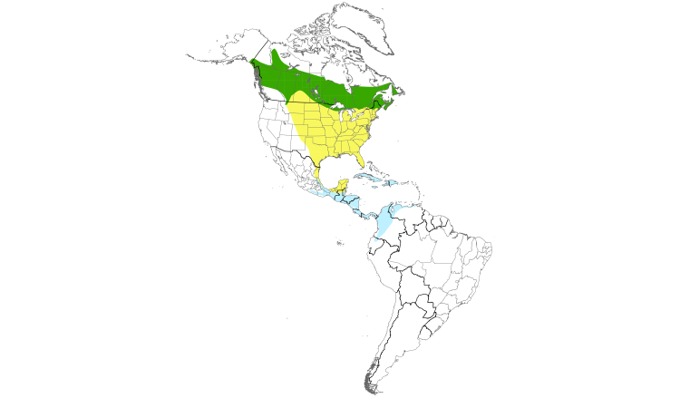 Range Map (Americas): Tennessee Warbler