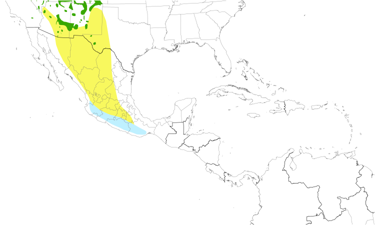 Range Map (Central): Virginia's Warbler