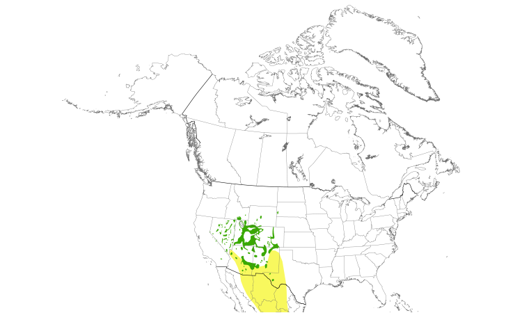 Range Map (North): Virginia's Warbler