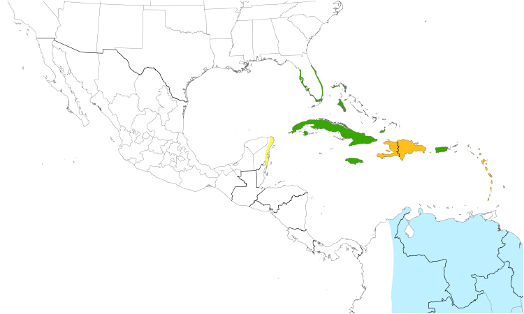 Range Map (Central): Black-whiskered Vireo