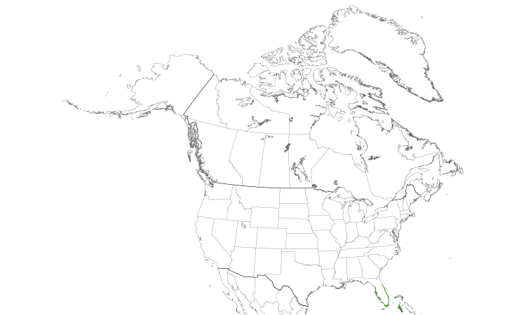 Range Map (North): Black-whiskered Vireo